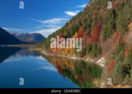 Geographie / Reisen, Deutschland, Bayern, Lenggries, Herbst am Sylvenstein-Staudamm, Herbst, Lenggries, Oberbayern, Additional-Rights-Clearance-Info-not-available Stockfoto