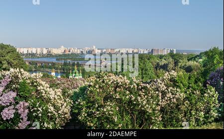 Kiewer Landschaften. Frühlingsansicht des Vydubychi-Klosters und des Flusses Dnipro mit rosa und weißen Fliederblüten im botanischen Garten in Kiew-Stadt, Ukraine Stockfoto