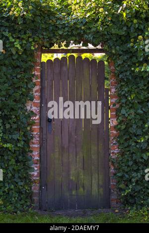 Tür zum geheimen Ort. Magischer Garten Eingang Stockfoto