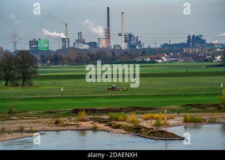 Landschaft, bei Duisburg-Mündelheim, hinter dem HKM-Stahlwerk und Kokerei in Duisburg-Hüttenheim, im Herbst Rhein, NRW, Deutschland Stockfoto