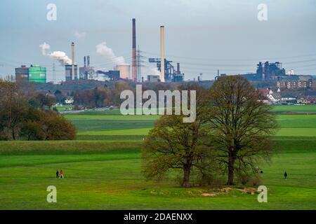 Landschaft, bei Duisburg-Mündelheim, hinter dem HKM-Stahlwerk und Kokerei in Duisburg-Hüttenheim, im Herbst Rhein, NRW, Deutschland Stockfoto