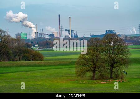 Landschaft, bei Duisburg-Mündelheim, hinter dem HKM-Stahlwerk und Kokerei in Duisburg-Hüttenheim, im Herbst Rhein, NRW, Deutschland Stockfoto