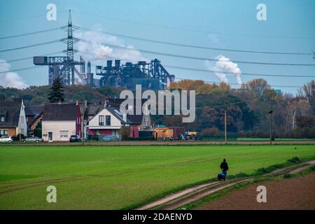 Landschaft, bei Duisburg-Mündelheim, hinter dem HKM-Stahlwerk und Kokerei in Duisburg-Hüttenheim, im Herbst Rhein, NRW, Deutschland Stockfoto