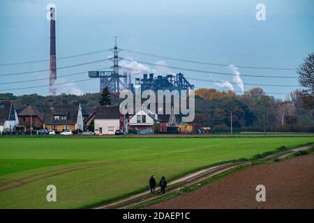 Landschaft, bei Duisburg-Mündelheim, hinter dem HKM-Stahlwerk und Kokerei in Duisburg-Hüttenheim, im Herbst Rhein, NRW, Deutschland Stockfoto