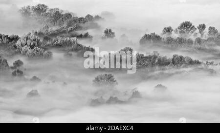 Schwarz-weiße Landschaft im Herbst Stockfoto