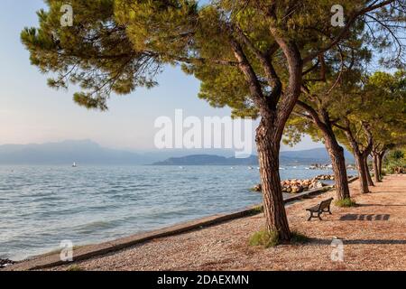 Geographie / Reisen, Italien, Venetien, Nähe Lazise, Gardasee, Blick vom südöstlichen Seeufer des L, Additional-Rights-Clearance-Info-not-available Stockfoto