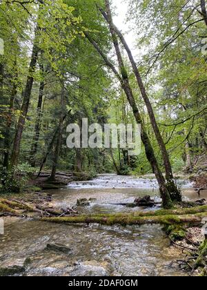 Sommeransicht des Flusses Herisson, frankreich, jura Stockfoto