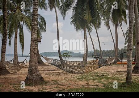 Koh Kood, Thailand, Februar 2009. Hängematten an Kokospalmen am Strand gebunden. Stockfoto