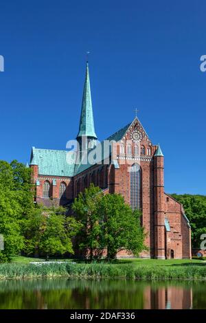 Geographie / Reisen, Deutschland, Mecklenburg-Vorpommern, Bad Doberan, das Doberaner Münster in Bad Dober, Additional-Rights-Clearance-Info-not-available Stockfoto