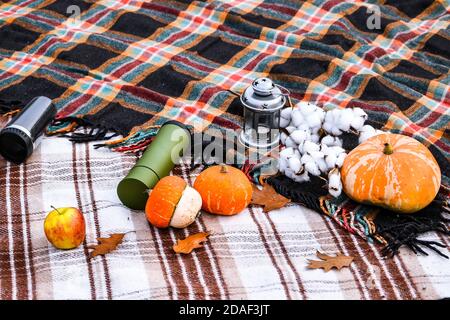 Herbstpicknick mit Thermoskanne und Kürbissen, Baumwollzweig, Croissants. Konzept von warmen sonnigen Herbsttag, Picknick im Freien im Park. Holzkorb. Stockfoto