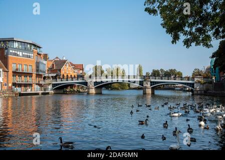 Windsor, Berkshire, England, Großbritannien. 2020. Die Themse, die unter der Windsor und Eton Bridge in Windsor, Berkshire, UK, passiert. Stockfoto