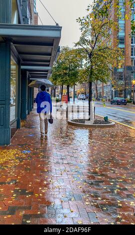 Reston, VA, 2020 -- Nov 11,2020. Ein Mann mit Regenschirm und blauer Jacke geht im Regen auf der Market Street in Reston VA. Stockfoto