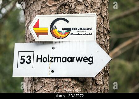 Der Holzmaarsee in der Vulkaneifel ist fast vollständig umgeben Dichter Wald Stockfoto