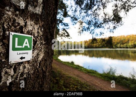 Der Holzmaarsee in der Vulkaneifel ist fast vollständig umgeben Dichter Wald Stockfoto