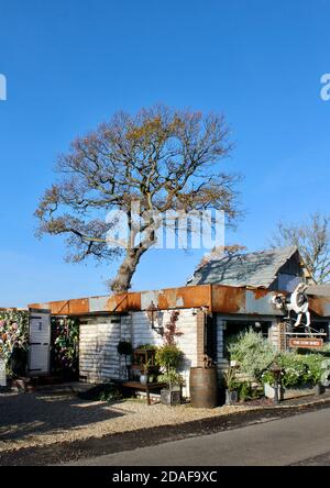 Ein Imperium von Antiquitäten, Sammlerstücken, Brokat und ungewöhnlichen Gegenständen. Das Hotel liegt auf dem Gelände des Varr House. Ein wunderschönes verstecktes Juwel! Stockfoto