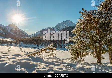 Winterlandschaft bei Samedan im Engadin, Graubünden, Schweiz Stockfoto