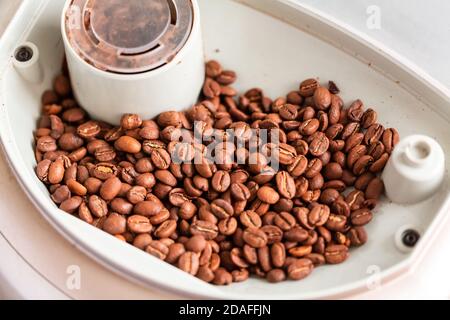 Kaffeebohnen in den Kaffeeautomat vor der Zubereitung des Kaffees. Stockfoto