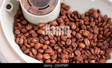 Kaffeebohnen in den Kaffeeautomat vor der Zubereitung des Kaffees. Stockfoto