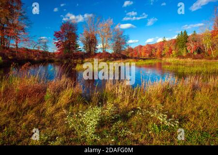 Brady's Lake, ein Erholungssee auf Pennsylvania State Game landet im Herbst in den Pocono Mountains. Stockfoto