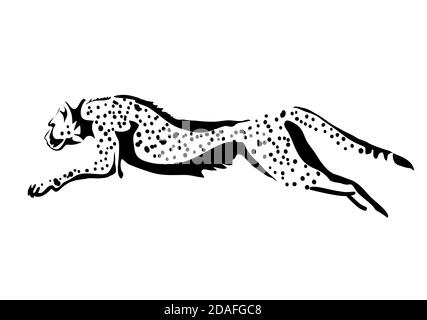 cheetah springen Vektor-Illustration isoliert auf weißem Hintergrund Stock Vektor