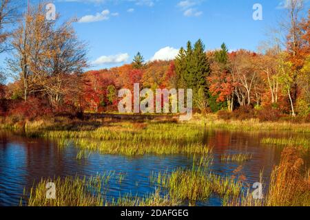 Brady's Lake, ein Erholungssee auf Pennsylvania State Game landet im Herbst in den Pocono Mountains. Stockfoto