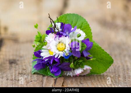 Viola odorata und Gänseblümchen - Frühlingsblumen Bouquet Stockfoto