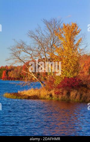 Brady's Lake, ein Erholungssee auf Pennsylvania State Game landet im Herbst in den Pocono Mountains. Stockfoto