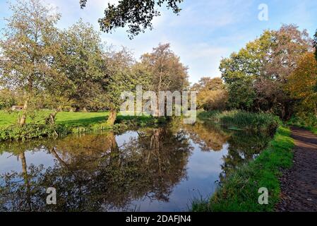 Der Fluss Wey Schifffahrtskanal auf einem sonnigen herbstlichen und Ruhiger Tag im Byfleet Surrey England Stockfoto