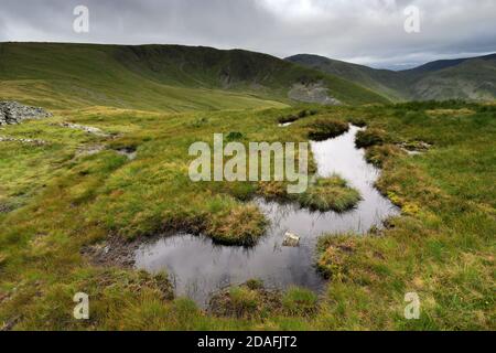 Blick auf Hartsop Dodd Fell, Hartsop Village, Kirkstone Pass, Lake District National Park, Cumbria, England, UK High Hartsop Dodd Fell ist einer der 214 Stockfoto