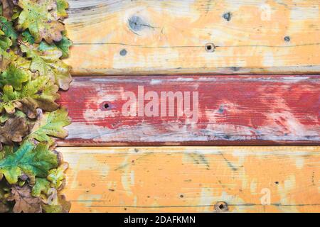 Altes Holz farbenfroher Hintergrund mit Eichenblättern an der Seite. Gelbe und rote alte verwitterte Holzbretter. Platz für Text kopieren. Stockfoto
