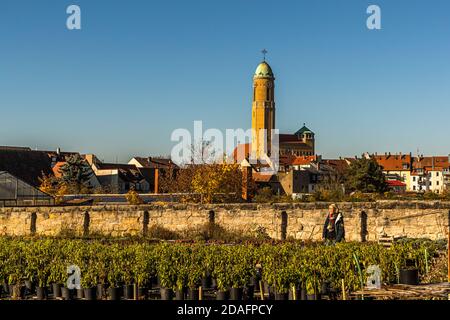 Historische Anbaugebiete mitten in der Stadt. Im Hintergrund St. Otto, die Pfarrkirche des Gartenviertels, erbaut von Orlando kurz in den Jahren 1911 - 1914. Der Marktgärtner-Bezirk Bamberg steht seit 1993 auf der UNESCO-Welterbeliste Stockfoto