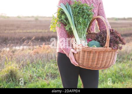 Frau hält Weidenkorb in den Händen, voll von frischem Gemüse, vom lokalen Markt. Foto mit Hintergrundbeleuchtung. Konzept der lokalen Marktunterstützung. Stockfoto