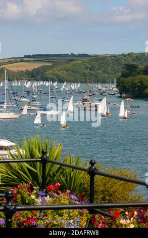 Flotte von Salcombe-Yawls im Regatta-Rennen mit dem Strand in East Portlemouth im Hintergrund, Salcombe, Devon, England, Großbritannien Stockfoto