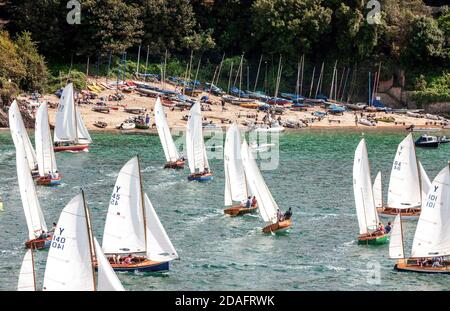 Flotte von Salcombe-Yawls im Regatta-Rennen mit dem Strand in East Portlemouth im Hintergrund, Salcombe, South Devon, England, Großbritannien Stockfoto