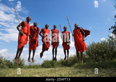 Masai Stammesmitglieder Durchführung springen tanzen, Masai Mara, Kenia Stockfoto
