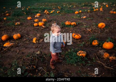 Kleinkind Kürbis Kommissionierung für Halloween Stockfoto