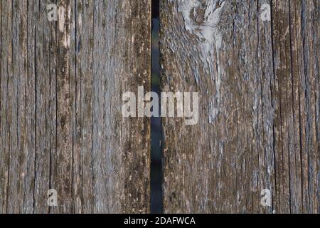 Alte Holzbretter. Bretter mit abblätternder alter Farbe. Stockfoto