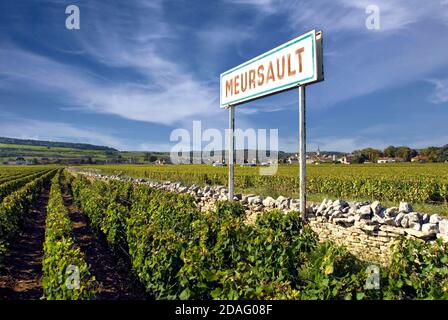 Meursault rustikales Grenzschild mit Weinbergen, Dorf und Kirche dahinter, Cote d'Or, Frankreich Stockfoto