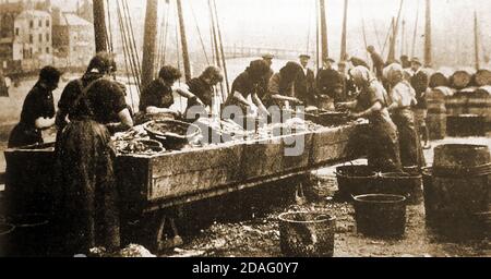 Wandernde schottische Heringsmädchen, Heringe, die in Whitby, North Yorkshire um die 1940er Jahre, zum Verpacken in Fässern bereit sind, 'geben' oder ausschaufeln. Diese Frauen würden die Fischerboote um die Ufer von Großbritannien folgen, bereit, ihre Arbeit durchzuführen, wie die Heringe an verschiedenen Häfen entladen wurden, wenn die Boote kamen.. Stockfoto