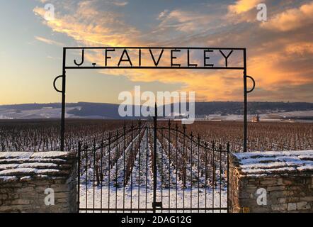 SCHNEE WEINBERG SONNENUNTERGANG FAIVELEY LANDSCHAFT Eingangstore von J Faiveley zu evocative Winter verschneiten Clos de Vougeot Weinberg, Vougeot, Côte d'Or, Frankreich. Stockfoto