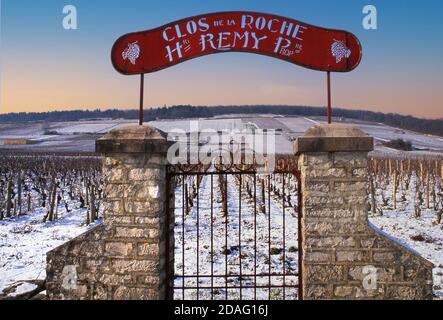 WEINBERG WINTER BURGUND Schnee rustikalen Eingangstor und Zeichen zu Henri Remy Grand Cru Clos de la Roche Weinberg, Morey-St-Denis, Côte d'Or, Frankreich. Stockfoto