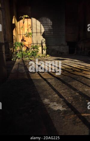 Grab in Canongate Kirkyard, Edinburgh, Schottland. Stockfoto