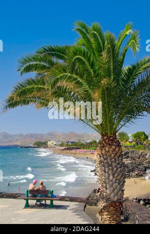 PLAYA DEL CARMEN LANZAROTE Pärchen sitzt auf einer Bank umrahmt von Palmen mit Blick auf den Sandstrand in Puerto del Carmen Kanarische Inseln Spanien Stockfoto