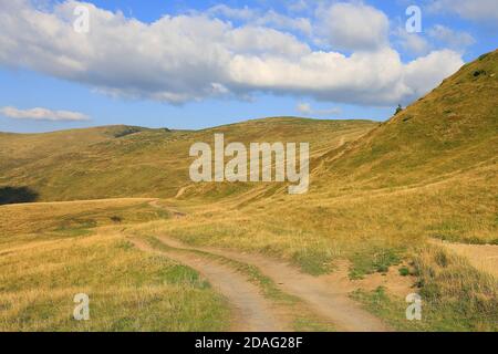 Landschaft mit Feldweg über Wiese in Karpaten, Ukraine Stockfoto