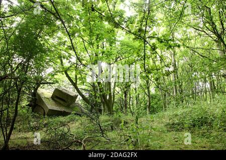 Die zerstörten Überreste des Ersten Weltkriegs versenkt Island defensive Pistole Batterie gebaut, um den Fluss Humber, East Yorkshire, Großbritannien zu verteidigen. Stockfoto