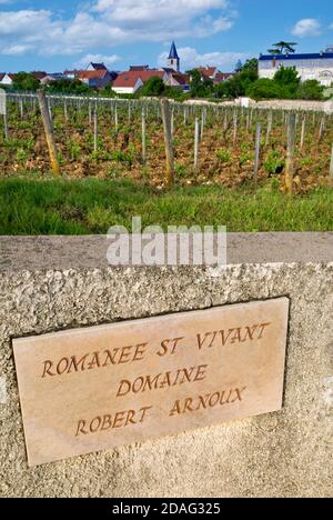 Romanee St Vivant Weinbergstein Plakette auf der Wand des Domaine Robert Arnoux mit Dorf Vosne-Romanee im Hintergrund Cote d'Or Burgund Frankreich Stockfoto