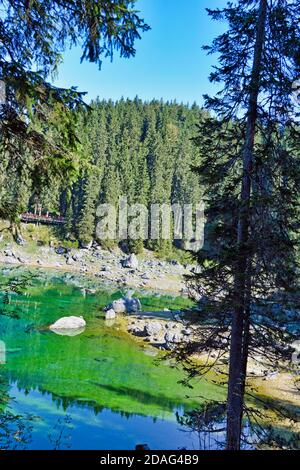 Smaragdgrüne Wasser auf dem Lago di Carezza Stockfoto