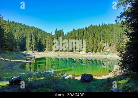 Smaragdgrüne Wasser auf dem Lago di Carezza Stockfoto