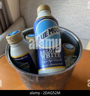 Ft. Lauderdale, FL/USA -10/30/19:16 Unze Aluminiumdosen von Blue Moon Belgien Bier in einem Eiskübel auf einem Holztisch iced unten bereit zu trinken. Stockfoto