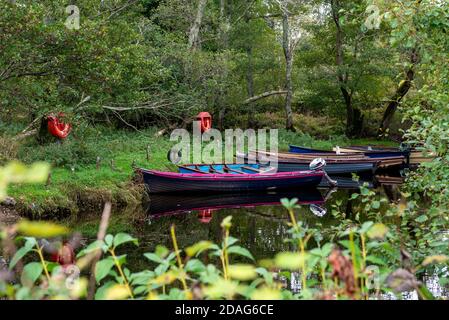 Angelboote auf einem See Bucht umgeben von üppigem Grün im Killarney Nationalpark, County Kerry, Irland, Europa Stockfoto